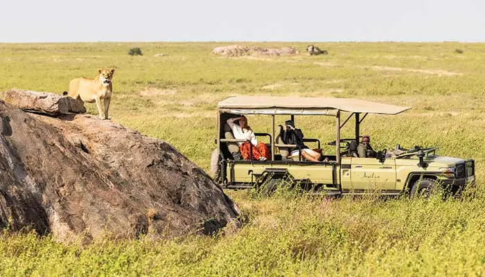 Enjoy the Ultimate Luxury Safari Experience in Tanzania’s Serengeti